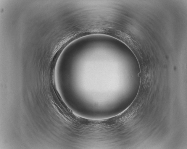 X0000060740299200511141140