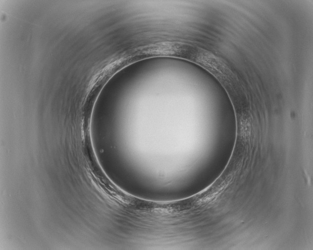 X0000060740302200511141140