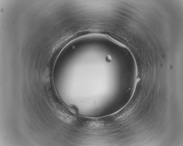 X0000060740303200511141140