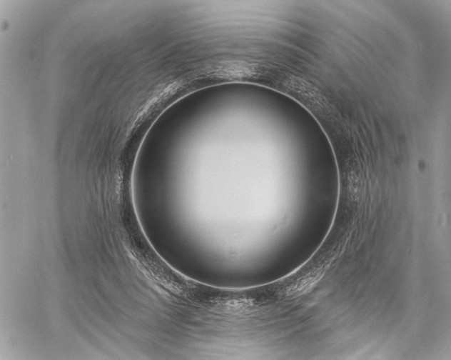 X0000060740304200511141140