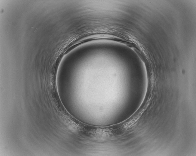 X0000060740305200511141140