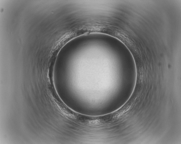 X0000060740309200511141140