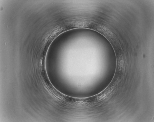 X0000060740310200511141140