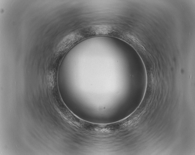 X0000060740311200511141140