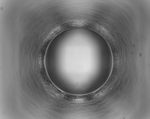 X0000060740312200511141140