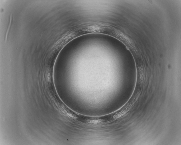 X0000060740313200511141140