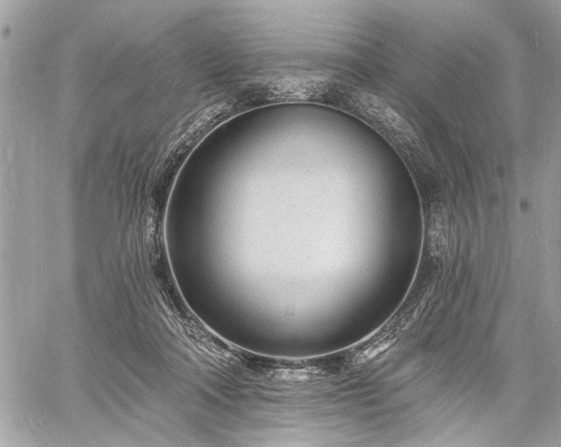 X0000060740314200511141140