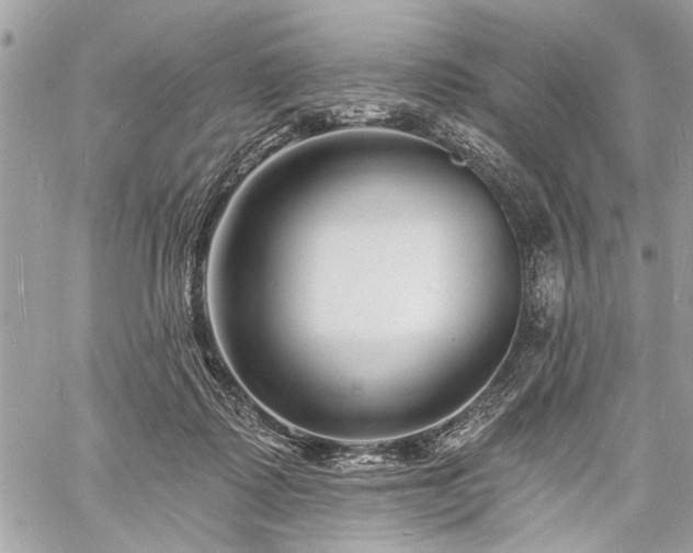 X0000060740315200511141140