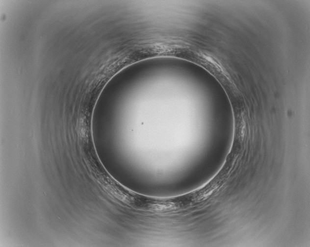 X0000060740317200511141139