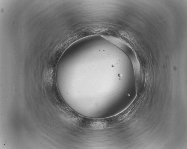 X0000060740319200511141139