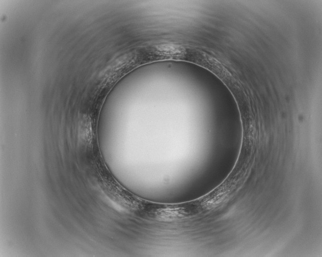 X0000060740320200511141139