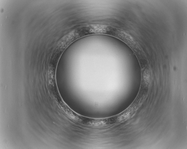 X0000060740322200511141139