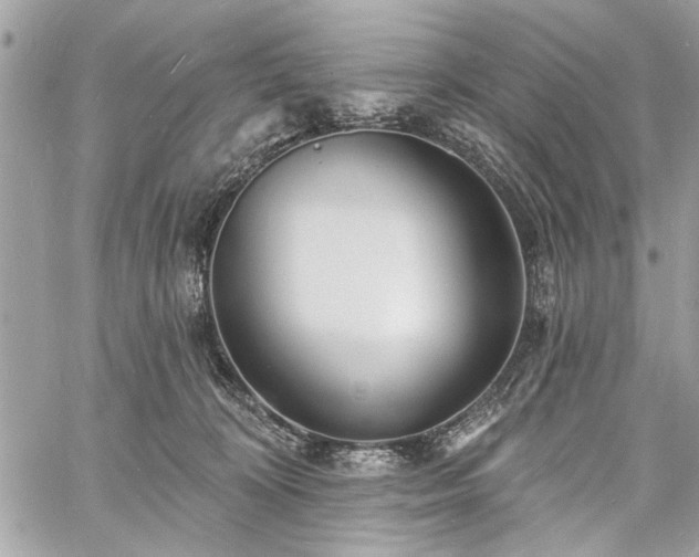 X0000060740324200511141139