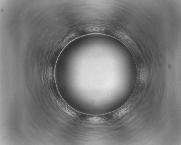 X0000060740326200511141139