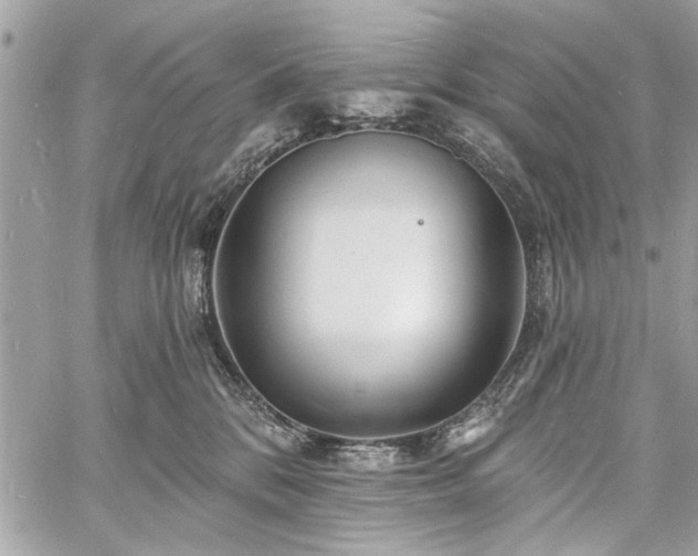 X0000060740328200511141139