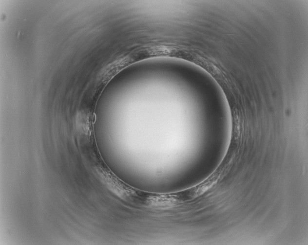 X0000060740331200511141139