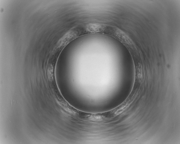 X0000060740332200511141139