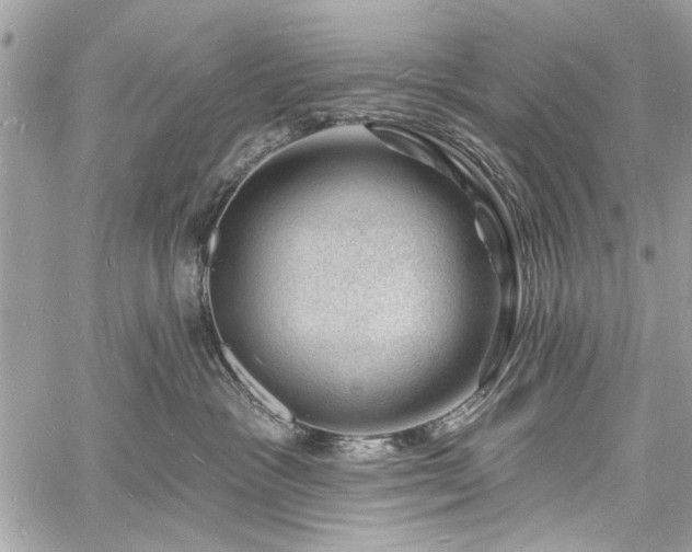 X0000060740333200511141139