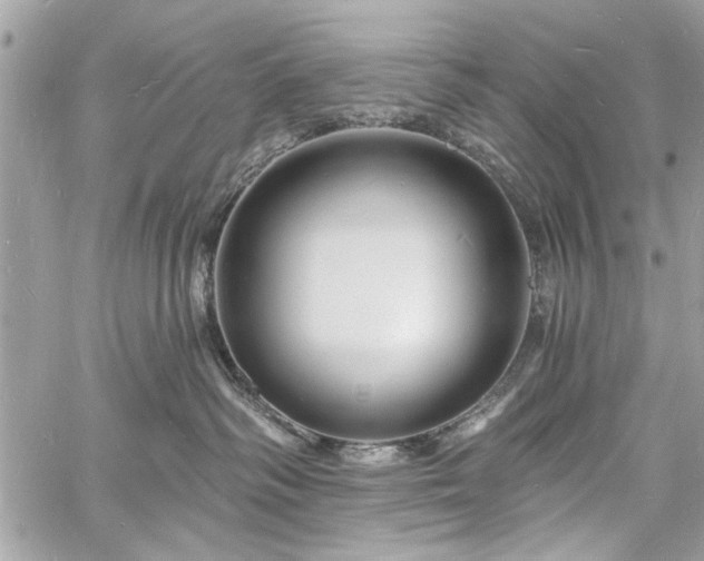 X0000060740334200511141139