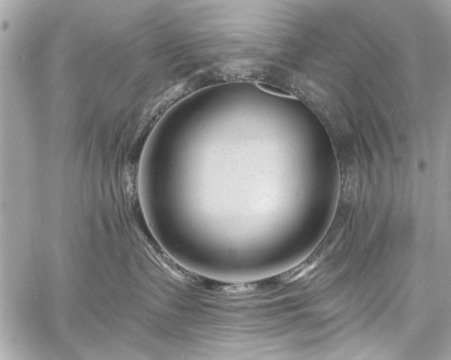 X0000060740335200511141139