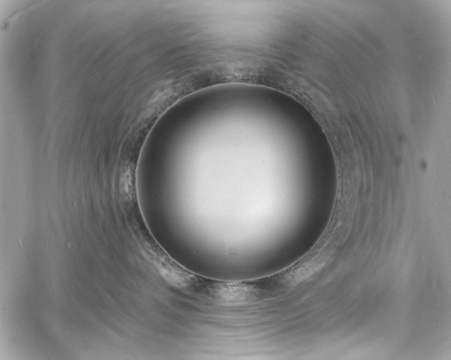 X0000060740336200511141139