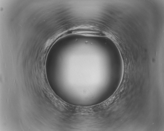 X0000060740337200511141138