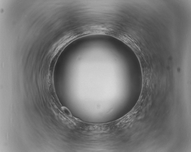 X0000060740338200511141138