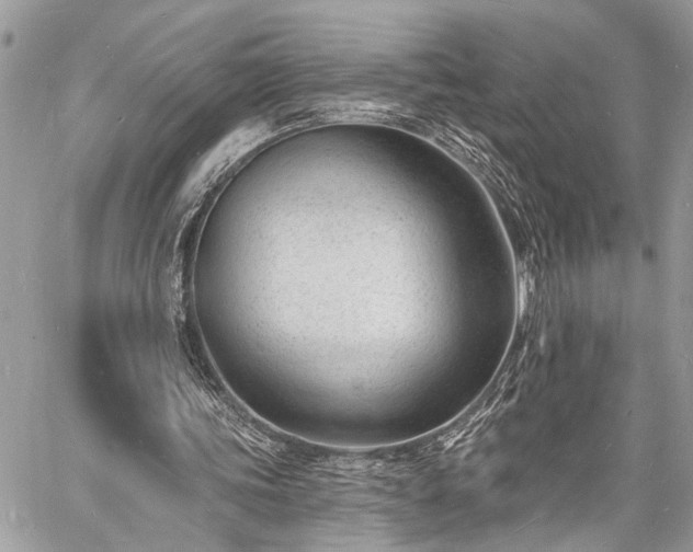 X0000060740339200511141138