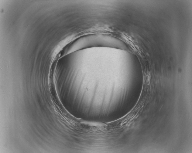 X0000060740340200511141138