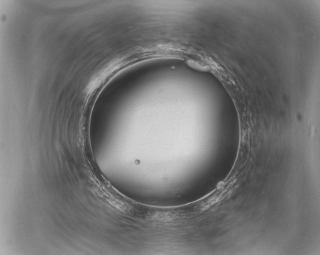 X0000060740341200511141138