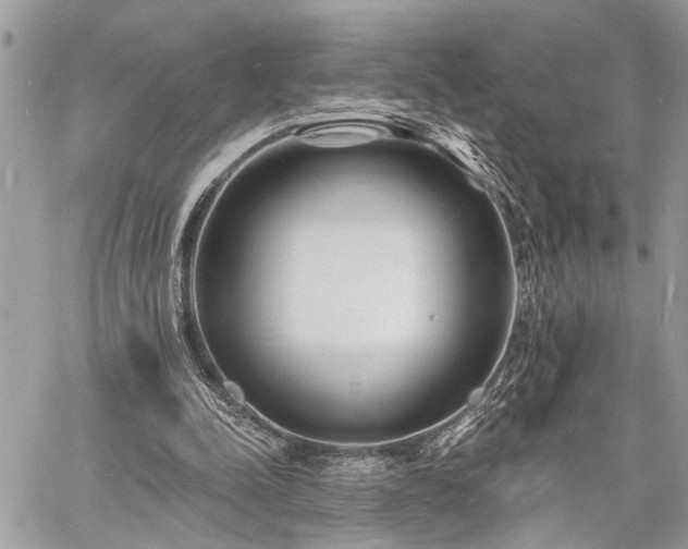 X0000060740342200511141138