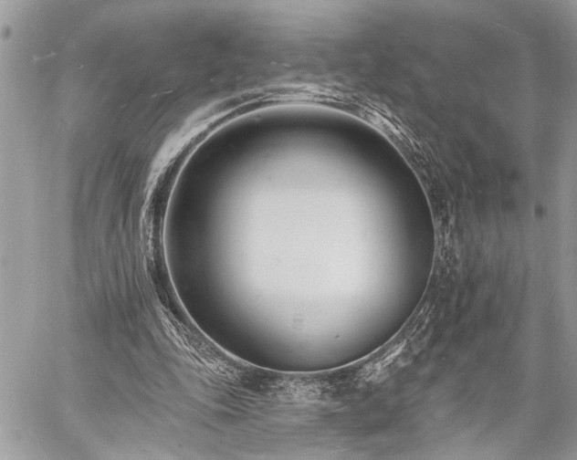 X0000060740343200511141138