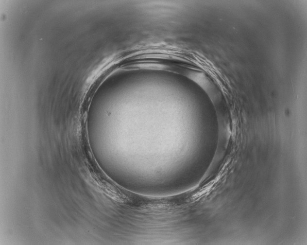 X0000060740344200511141138