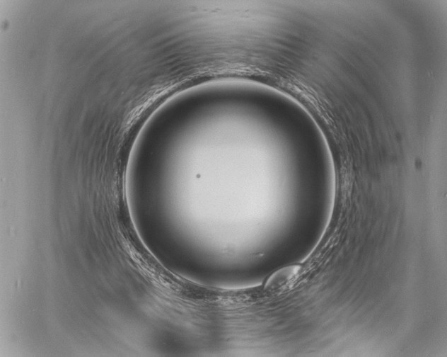 X0000060740345200511141139