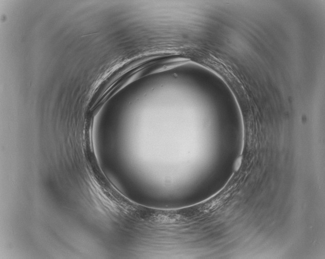 X0000060740346200511141139