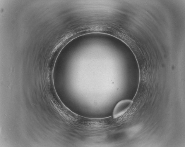 X0000060740347200511141139