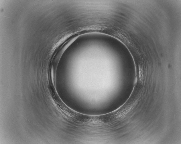 X0000060740348200511141139