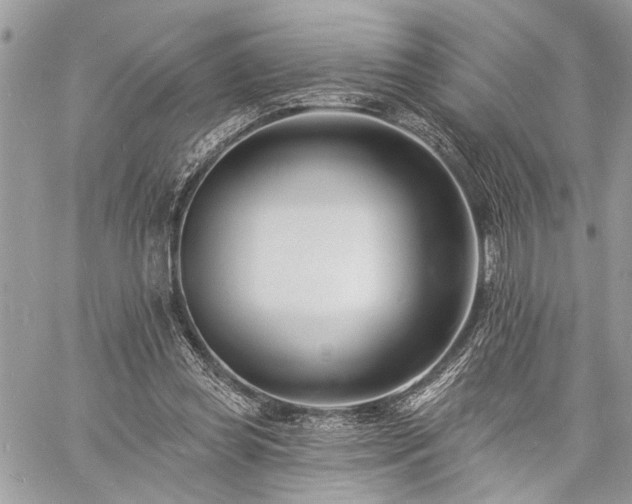 X0000060740349200511141139