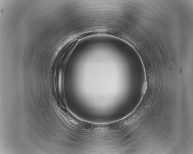 X0000060740350200511141139