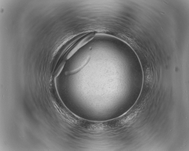 X0000060740351200511141139