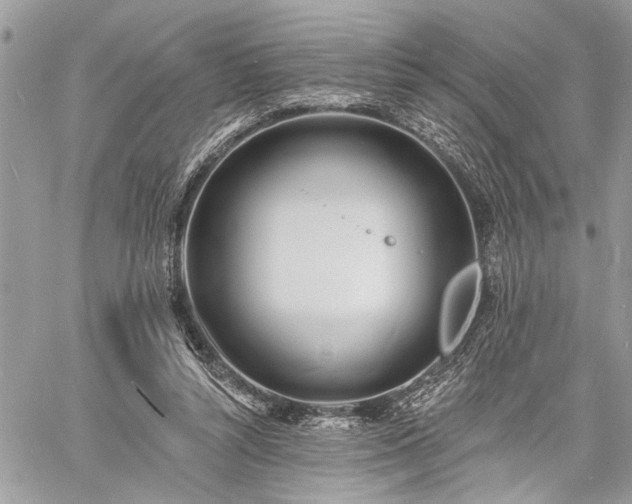 X0000060740352200511141139