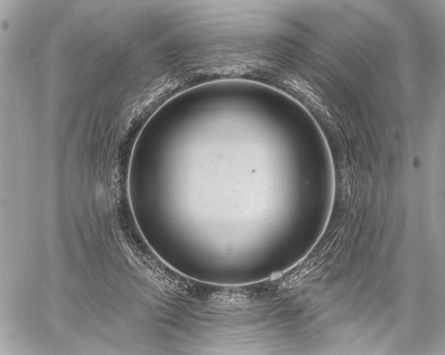 X0000060740354200511141139