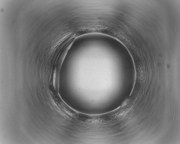 X0000060740356200511141139