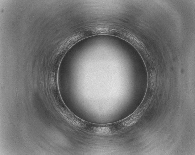 X0000060740361200511141139