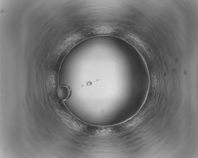 X0000060740362200511141139