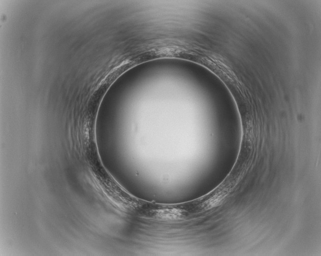 X0000060740363200511141139