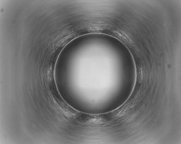 X0000060740364200511141139