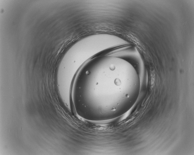 X0000060740365200511141139