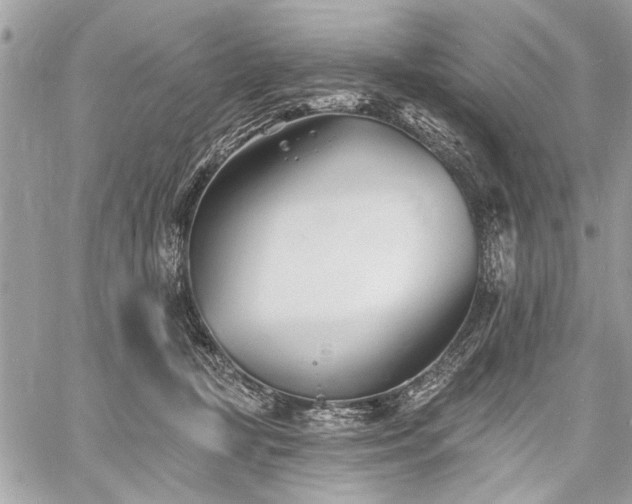 X0000060740367200511141139