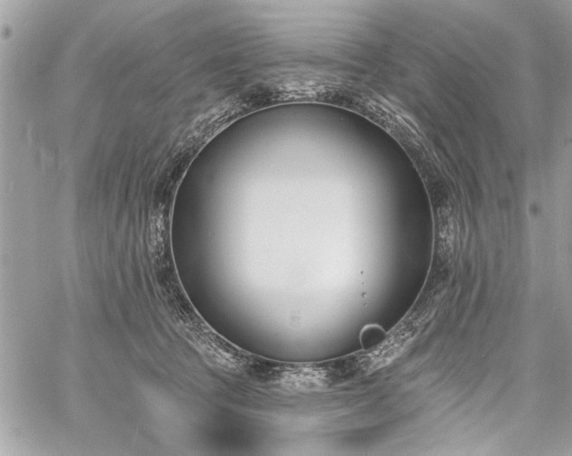 X0000060740369200511141139